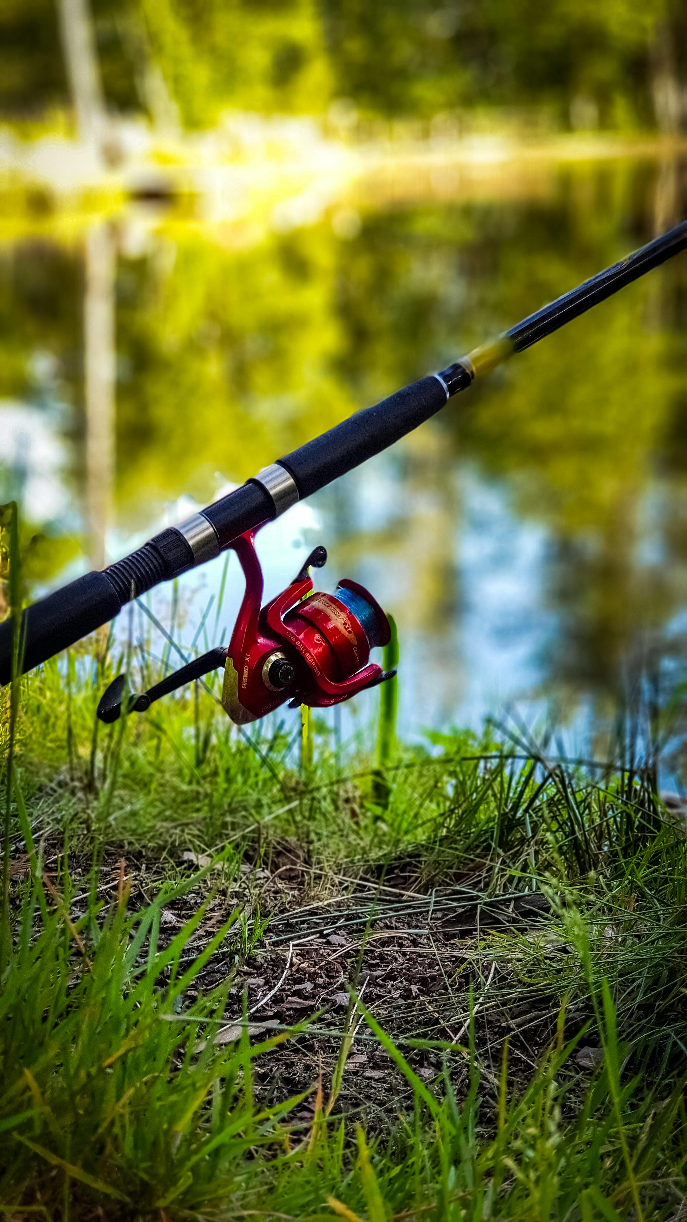 Coastal Medium Rod fishing gear photo